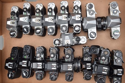 Lot 379 - A Tray of Pentax SLR Camera Bodies