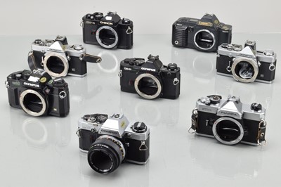 Lot 380 - Eight SLR Cameras