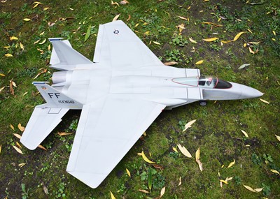 Lot 526 - A large scale Freewing or similar  unmotorised model of American Airforce  F-15C  Eagle Super Jet Fighter