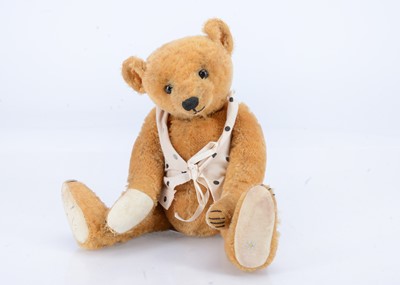 Lot 71 - A Forget Me Not Bears Rafferty artist teddy bear
