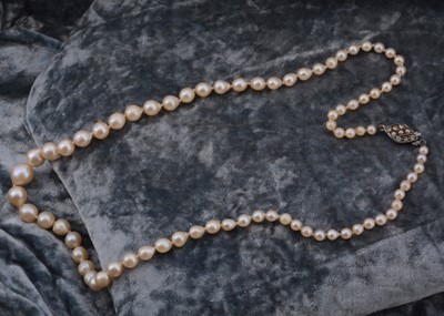 Lot 86 - A string of graduated cultured pearls