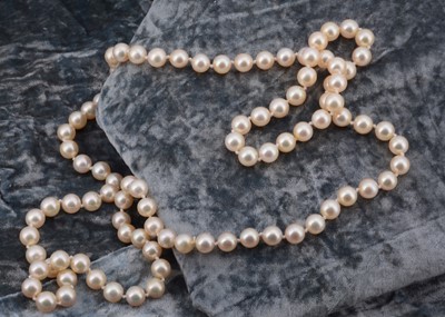 Lot 133 - A string of knotted cultured pearls