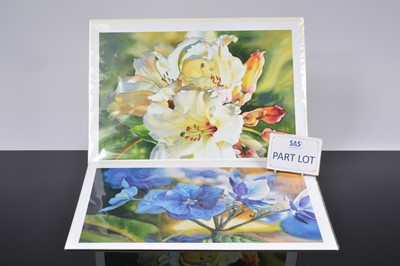 Lot 484 - Marney Ward