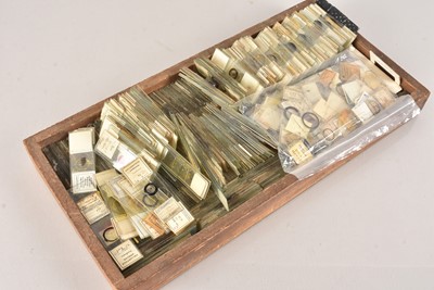 Lot 34 - An extensive collection of Microscope Slides