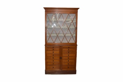 Lot 69 - An Elevated Display Case with Collector's Cabinet to base