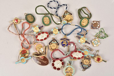 Lot 117 - A collection of Sandown Membership Badges