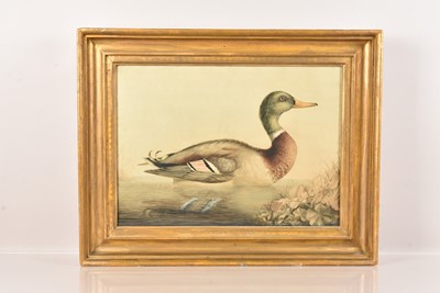 Lot 226 - Watercolour