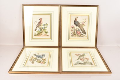 Lot 227 - A group of four 18th Century Bird Etchings