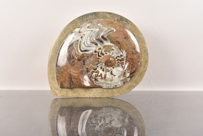 Lot 247 - A large Ammonite Fossil