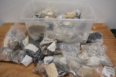 Lot 266 - A large quantity of World Fossils