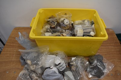 Lot 267 - A large assortment of Fossils and Minerals