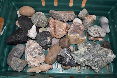 Lot 282 - A small selection of Minerals and Fossils