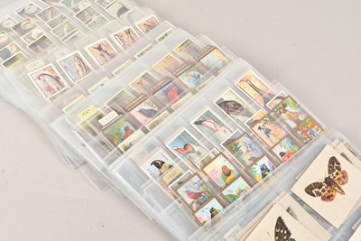 Lot 470 - Pre and Post-war Cigarette and Trade Card Foreign Birds Butterflies Marine Life and Insects Themed Sets (34)