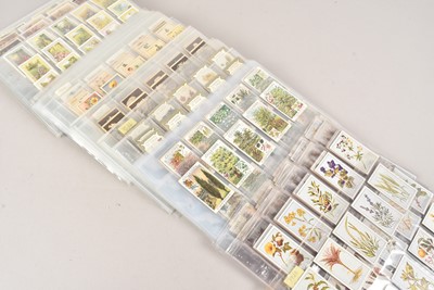 Lot 472 - Pre and Post-war Cigarette and Trade Card Flora and Trees Themed Sets (41)