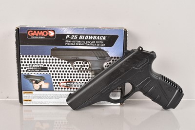 Lot 738 - A Gamo P25 Blowback .177 CO2 Air Pistol