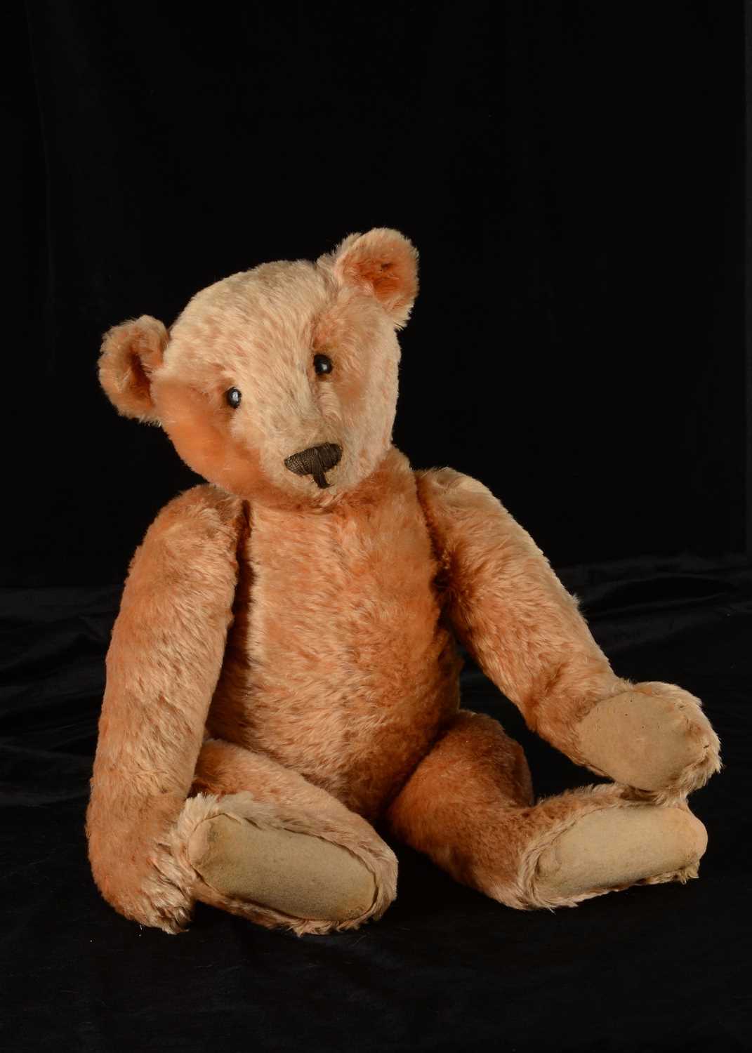 Lot 6 - A fine and early large Steiff teddy bear, 1906-7