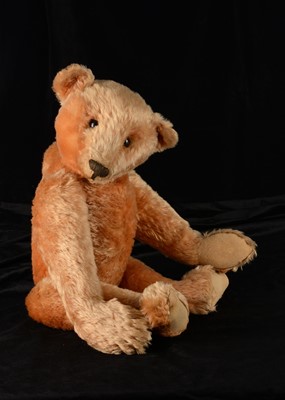 Lot 6 - A fine and early large Steiff teddy bear, 1906-7