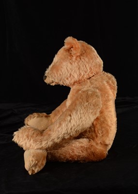 Lot 6 - A fine and early large Steiff teddy bear, 1906-7