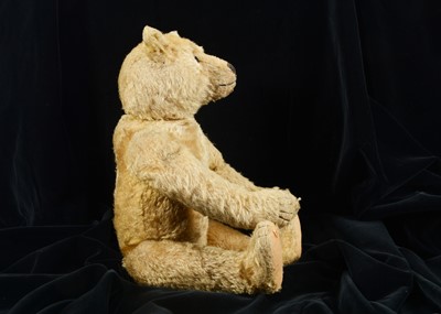 Lot 7 - An early Steiff centre seam teddy bear, circa 1910