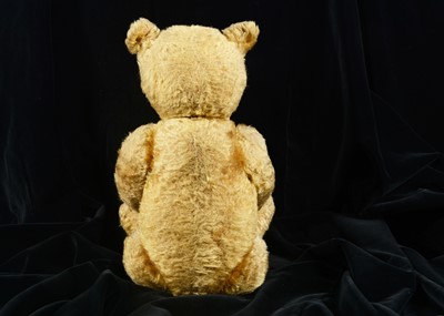 Lot 7 - An early Steiff centre seam teddy bear, circa 1910