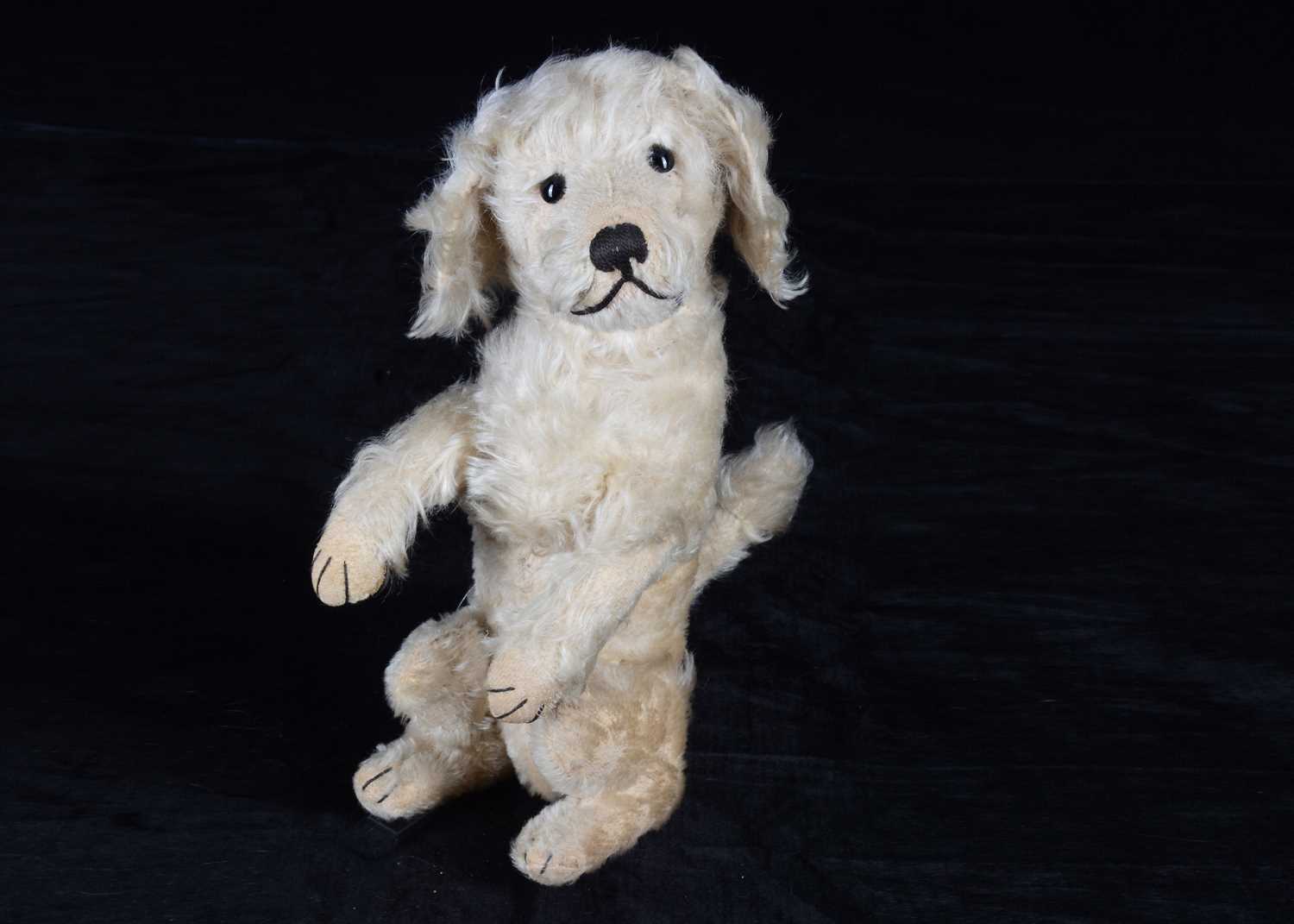 Lot 12 - A 1929-1930 Steiff poodle from the Growlies of Scotland collection