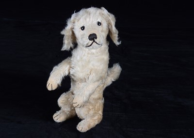 Lot 12 - A 1929-1930 Steiff poodle from the Growlies of Scotland collection