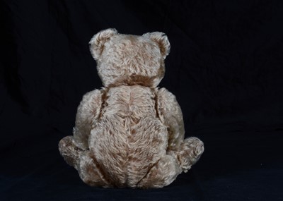 Lot 76 - A 1951-1958 Steiff Original teddy bear