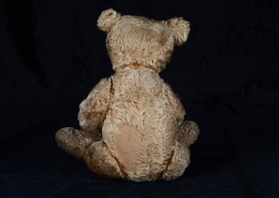 Lot 78 - An early Steiff teddy bear, circa 1910