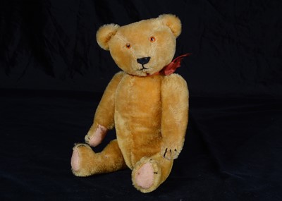 Lot 103 - A fine 1920s American teddy bear