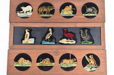 Lot 24 - Six Panoramic Magic Lantern Slides