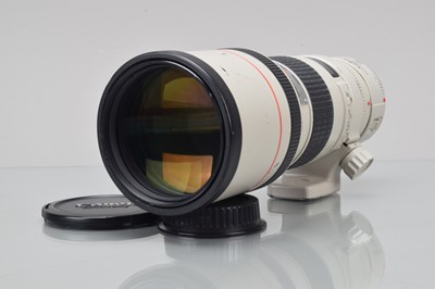 Lot 317 - A Canon EF 300mm f/4 L Ultrasonic Lens