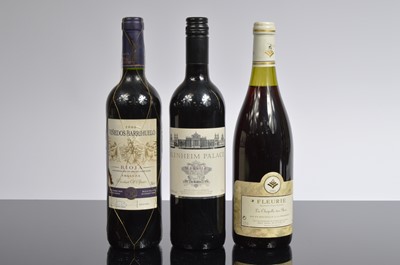 Lot 48 - A collection of ten modern red wines