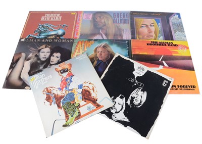 Lot 36 - Allman Brothers LPs
