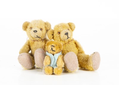 Lot 503 - Two 1930's German Teddy Bear cubs