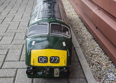 Lot 1077 - A well made 5'' gauge battery powered BR green Warship Class D832 Diesel Locomotive
