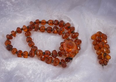 Lot 150 - A Baltic amber fern brooch