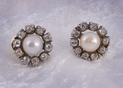 Lot 163 - A pair of pearl and old cut diamond ear studs
