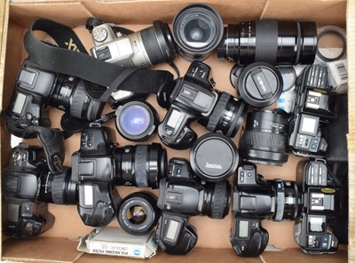 Lot 446 - A Tray of Minolta AF SLR Cameras