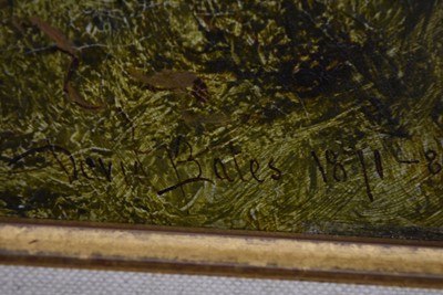 Lot 196 - David Bates (1840-1921)