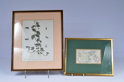 Lot 239 - A small hand coloured map of the Island of Guernsey