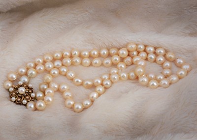 Lot 66 - A double row of cultured knotted pearls