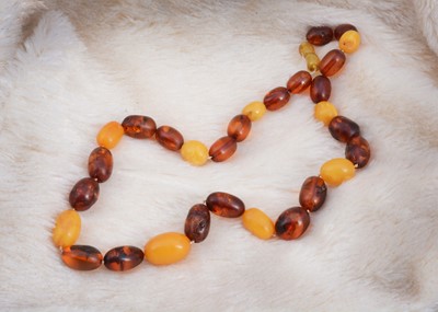Lot 78 - A string of oval amber beads