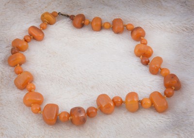 Lot 266 - A string of boulder butterscotch amber beads