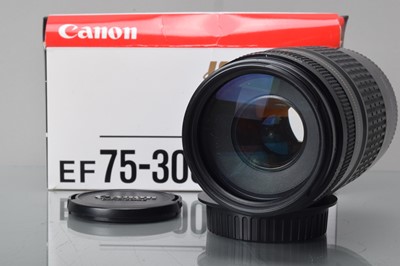 Lot 176 - A Canon EF 75-300mm f/4-5.6 Ultrasonic Lens