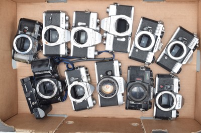 Lot 220 - A Tray of SLR Camera Bodies