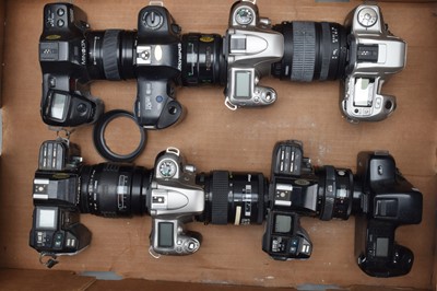 Lot 330 - A Tray of SLR Cameras